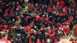 Пореден инцидент: Бой между фенове на Евро 2024