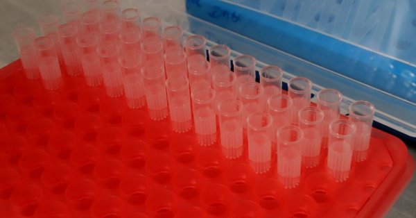 Още 38 души от персонала на дом за умствено изостанали