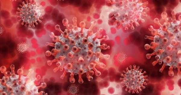 1038с а новите случаи на коронавирус у нас, сочат данните