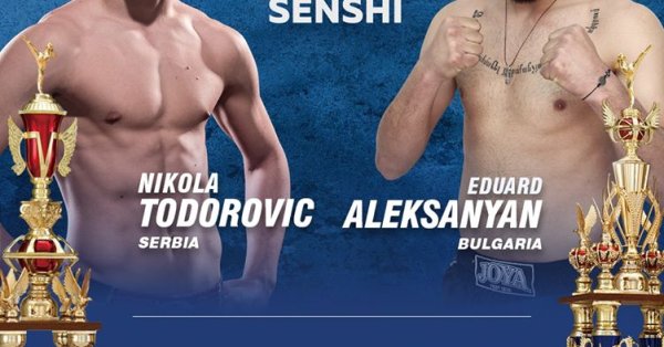 Никола Тодорович е световен шампион по кикбокс за младежи Победител