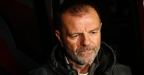 Те разполагат със сходен профил като могат да действат както