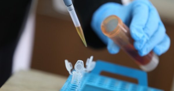 506 са новите случаи на коронавирус у нас за изминалото